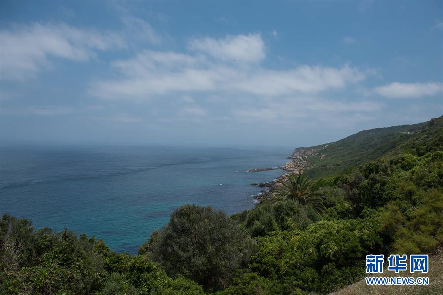 ??? ?????? ???????? ??? ?????? ????? ?????? 6 ????? ?? ????? ????? ?? ??? 2017