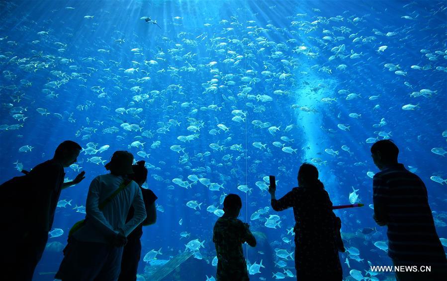 ?????? ??? ????? ?????? ?????? ?? ????? ?????