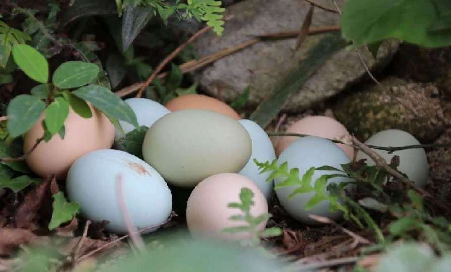 ??? ???? ???? ?? ???? ????