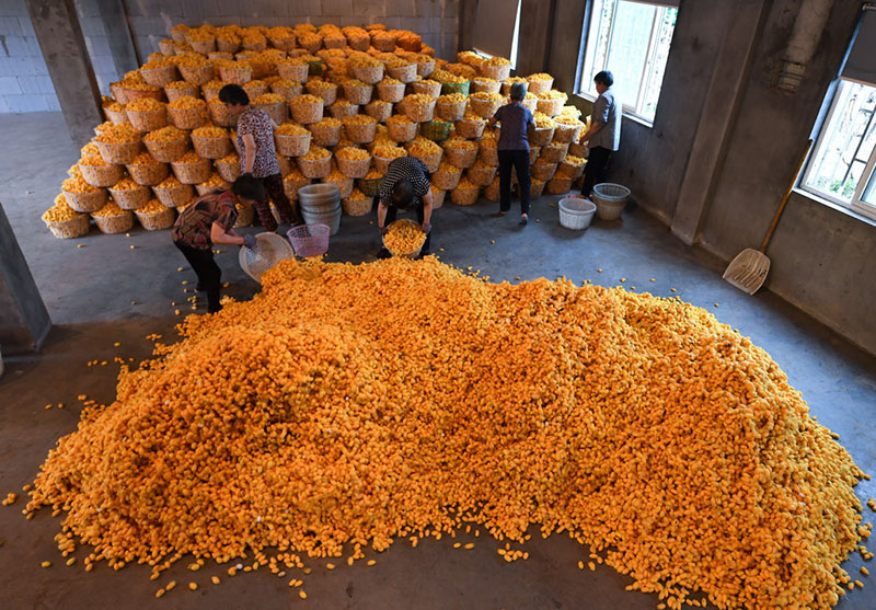 ?????????? ?????? ??????? : ???? ???? ???????? ???? ?????? ??????? ?????? ??????