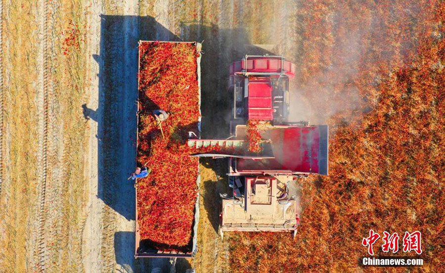 ???? ???? ?????? ?????????? ?????? ?? ????????  