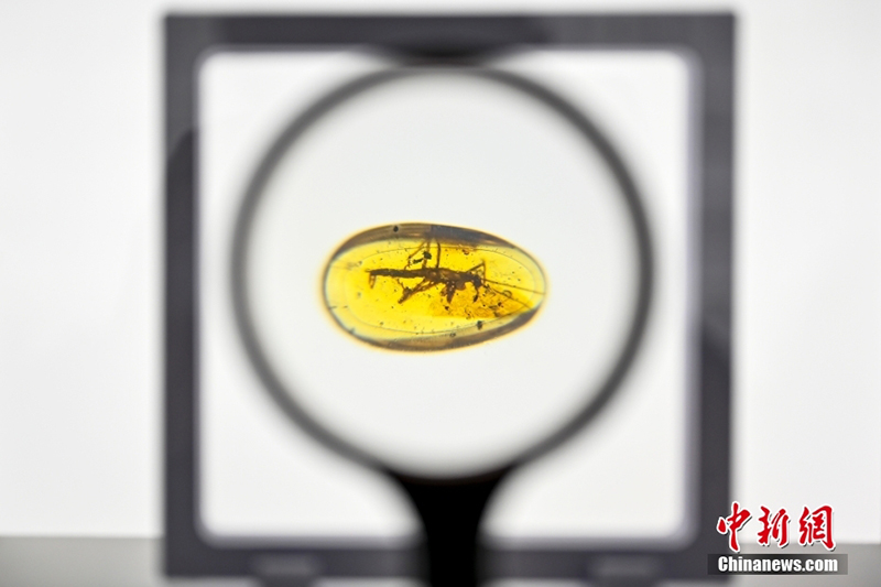 ???? ?? 700 ???? ?? ??? ?????? ???? ?? ???? ?????????