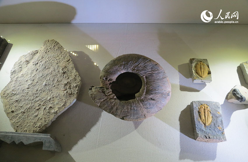 ???? ????????? ????? ??????: ????? ?????? ?????????? ????? ??? ????? ????? ??????