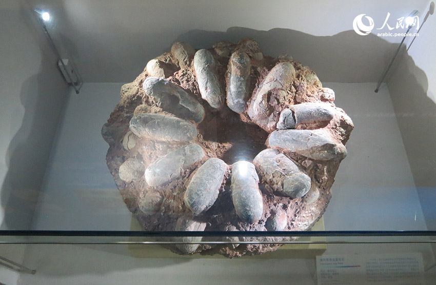 ???? ????????? ????? ??????: ????? ?????? ?????????? ????? ??? ????? ????? ??????