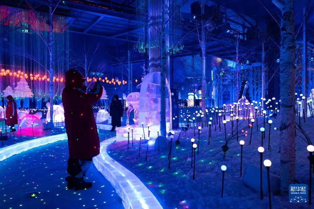 ?????? ???? ????? ???? ???? ?? ?????? ?? ????? ?????? ???????